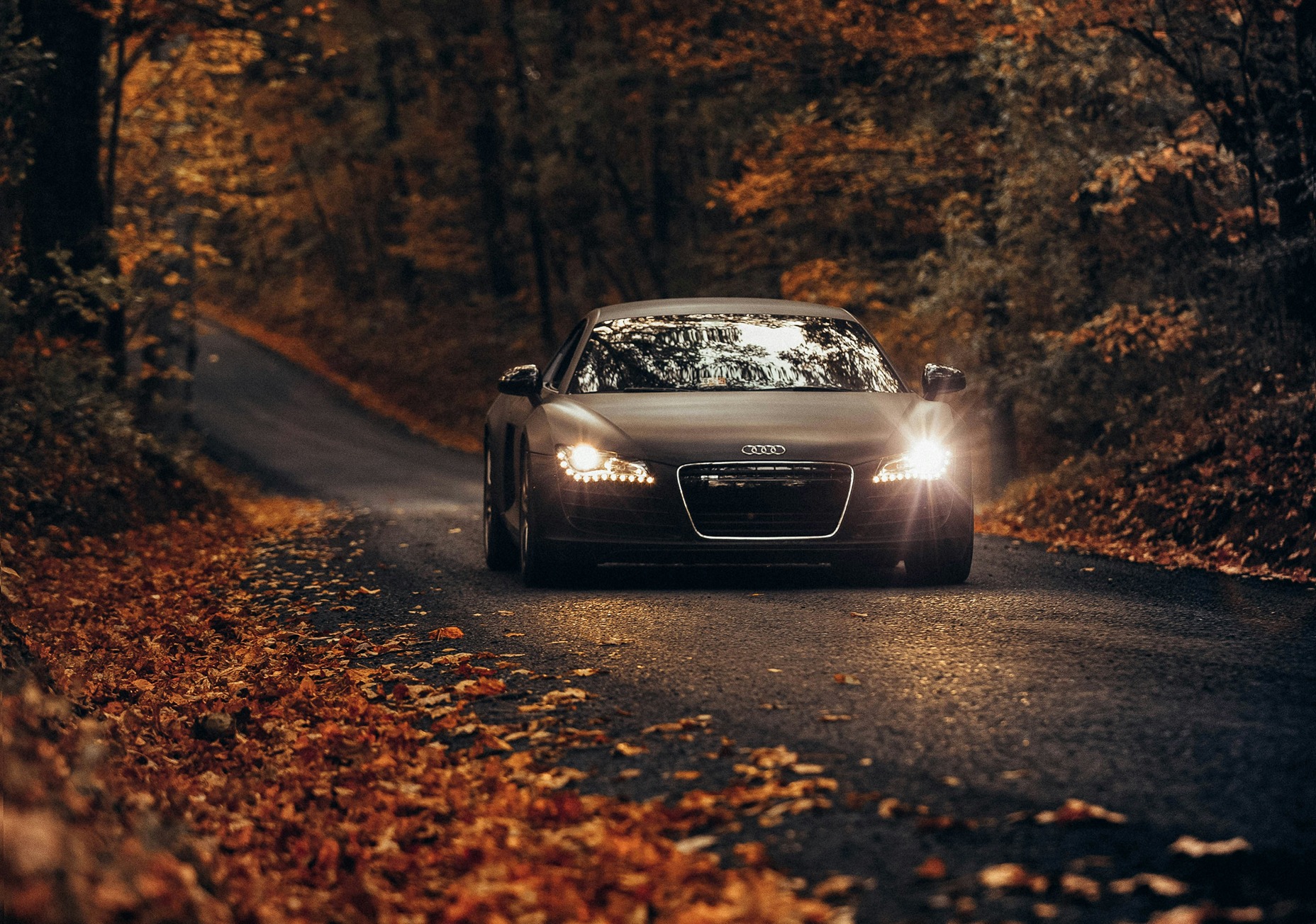 Gallery gallery_images_3_0_17688983111687776805.jpg  | VANCENTER